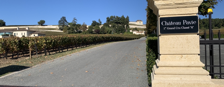 Marcelo Copello visita Château PAVIE