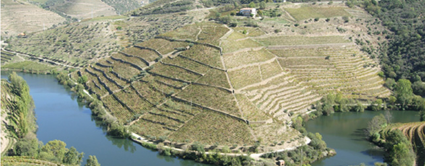 Rio Douro desagua no Rio de Janeiro