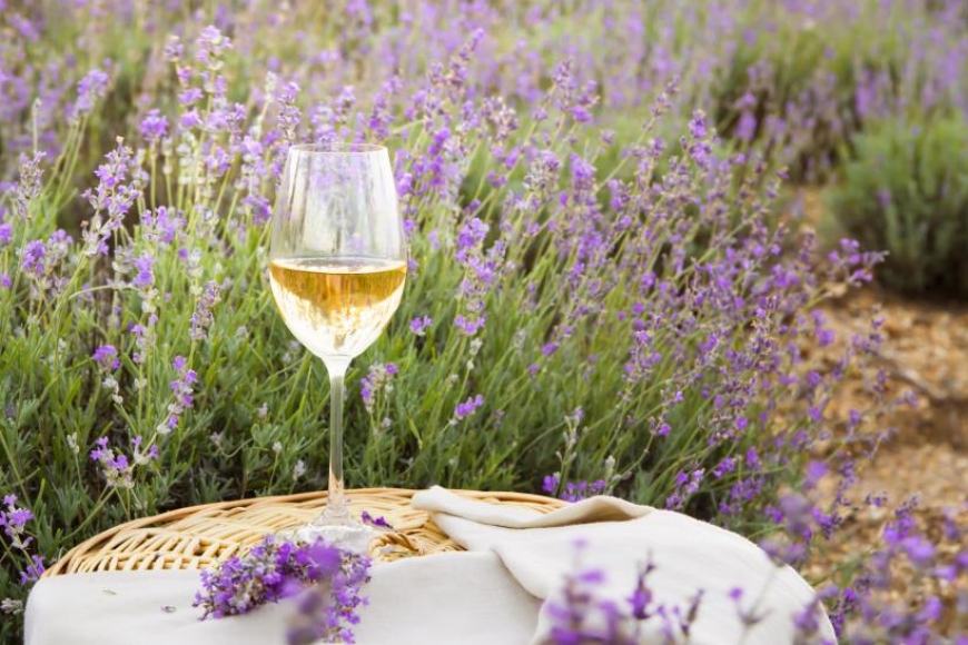 Aromas do vinho: quanto tudo são flores