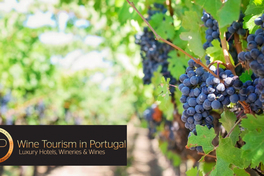 Internet responde por 50% das reservas de enoturismo