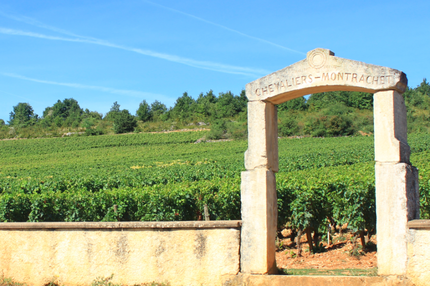 Conheça a Borgonha, o milagre do terroir