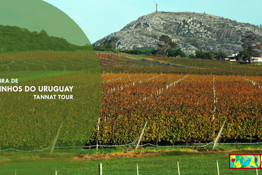 URUGUAI - 29 Bodegas estão no RWFF, VENHA DEGUSTAR!