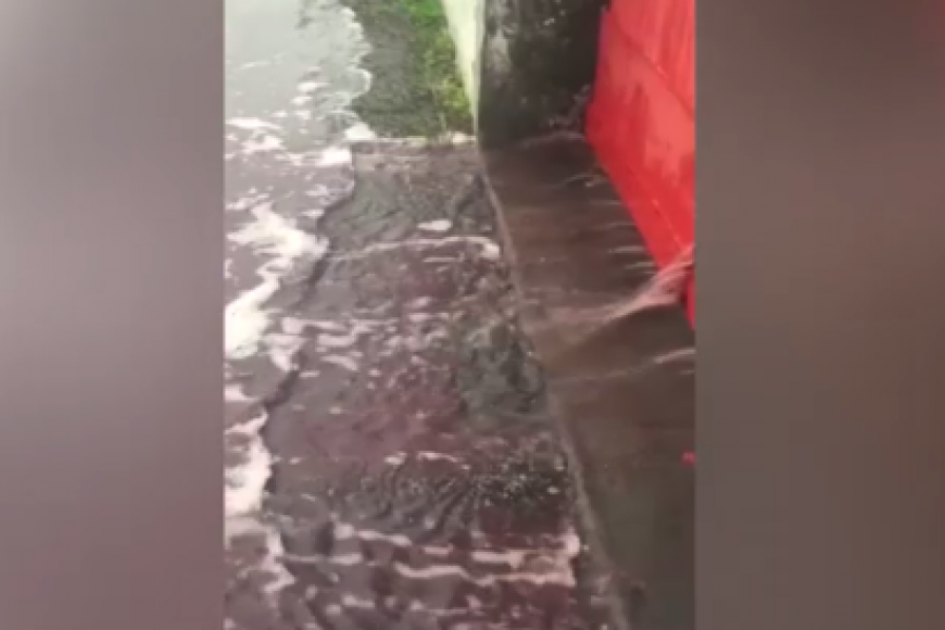 Inundação cria um rio de vinho na França