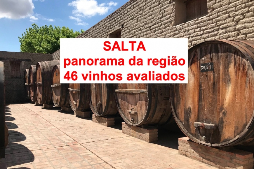 SALTA, no topo do mundo do vinho argentino